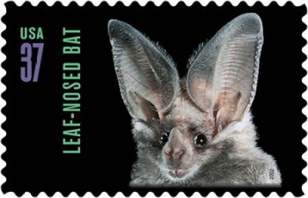 Leaf-nosed Bat Poster Print by  US POSTAL SERVICE - Item # VARPDX3404